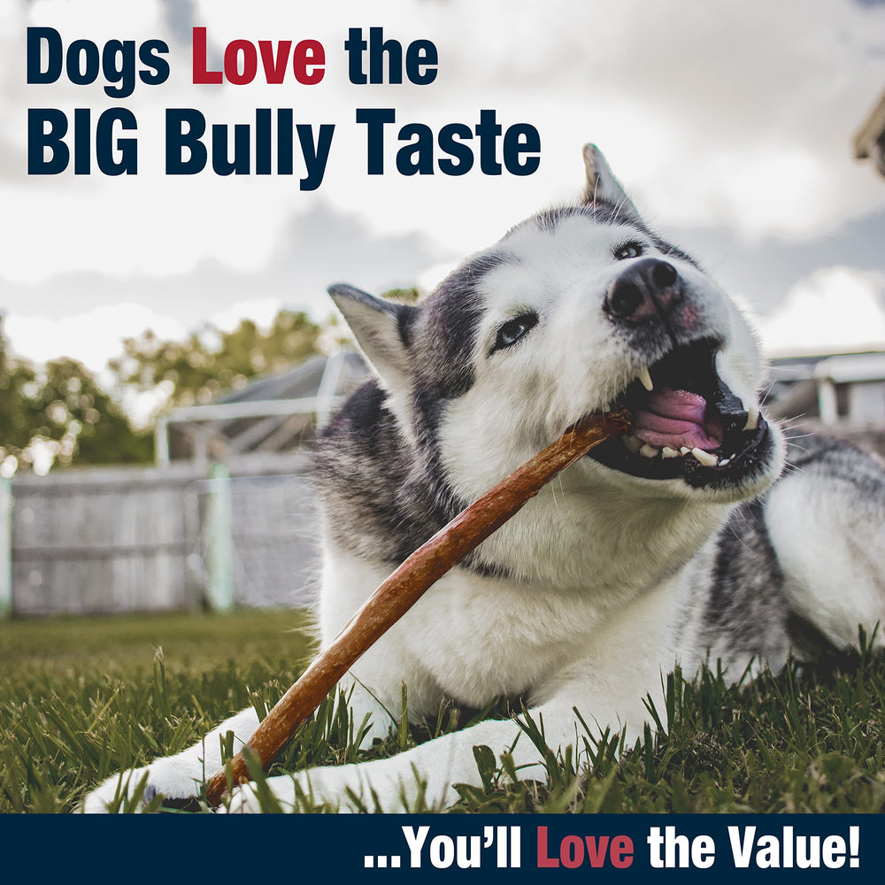 Cadet textura en primer plano del bully stick con superficie tostada y durable