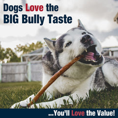 Cadet textura en primer plano del bully stick con superficie tostada y durable