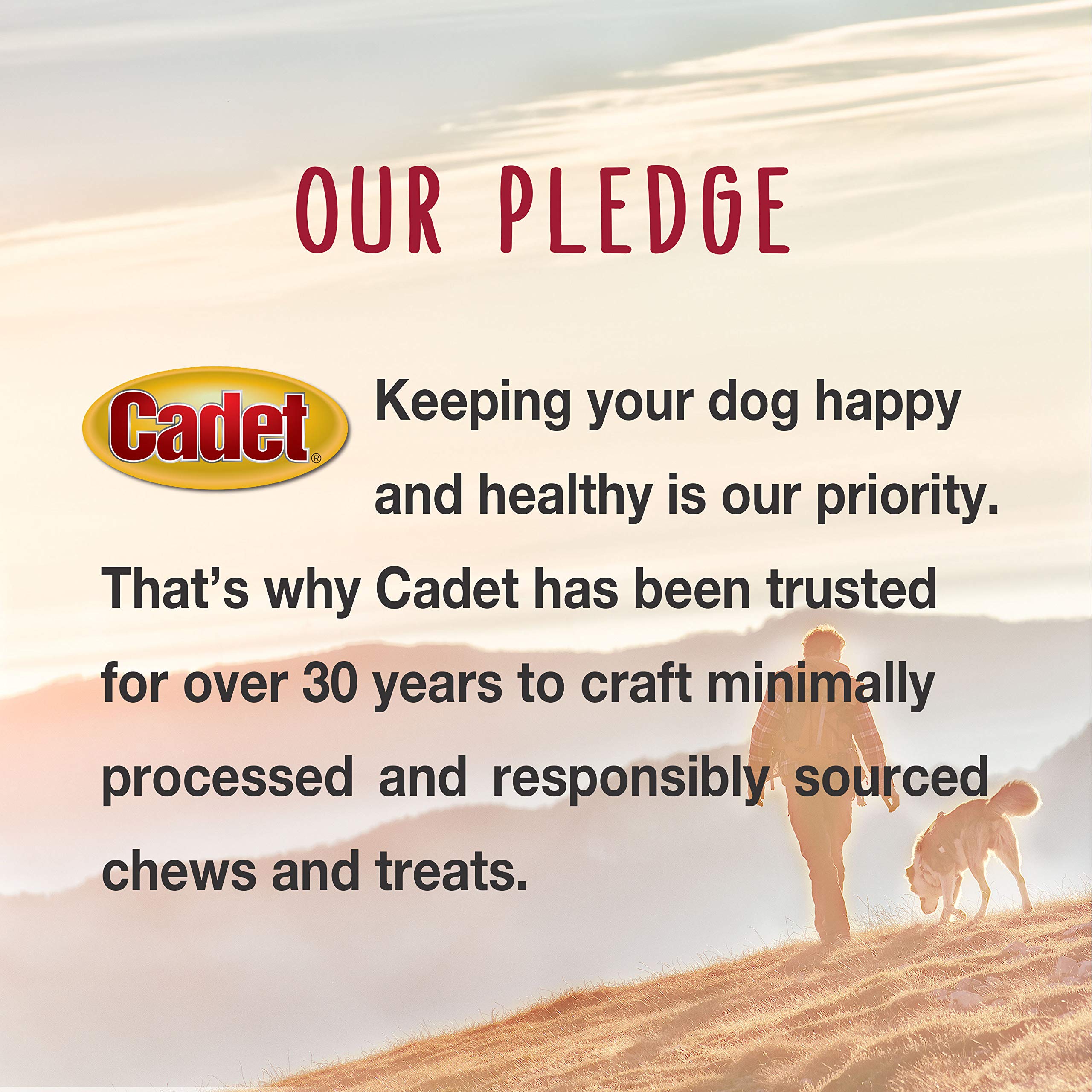 Cadet owner pocketing treats on a walk, convenient on-the-go rewards