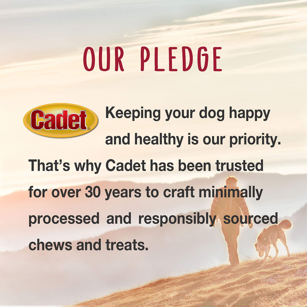 Cadet owner pocketing treats on a walk, convenient on-the-go rewards