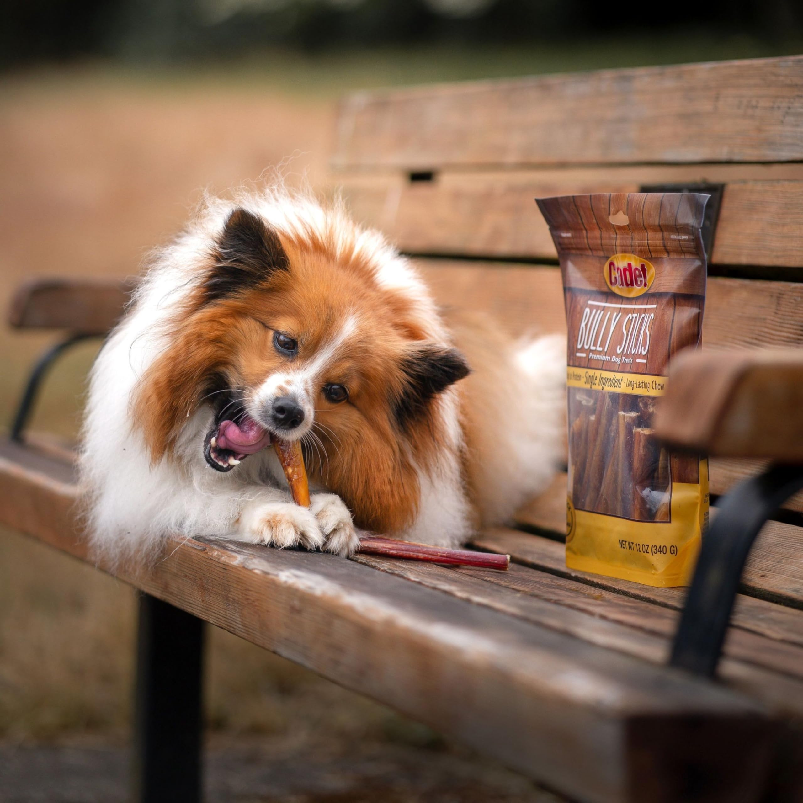 Cadet bully stick beside ruler showing size suitable for small dogs