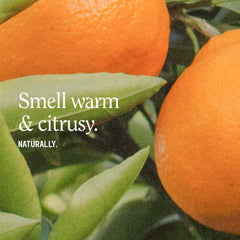 California Naturals textura del gel-aceite demostrando limpieza suave y brillo