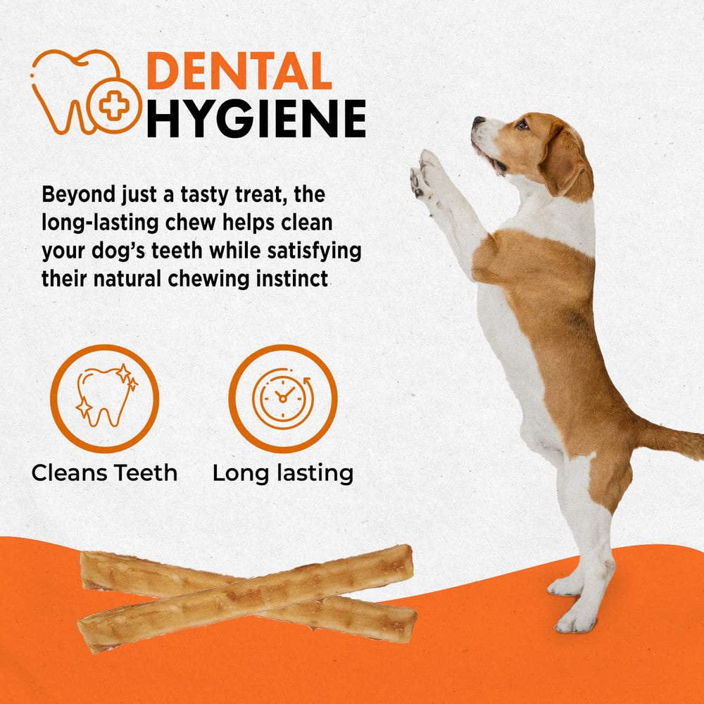 Canine Naturals stick next to a hand to show 5-inch size and portion guidance