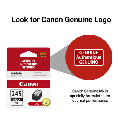 Canon PG-245 XL comparación de tamaño con una mano para escala práctica