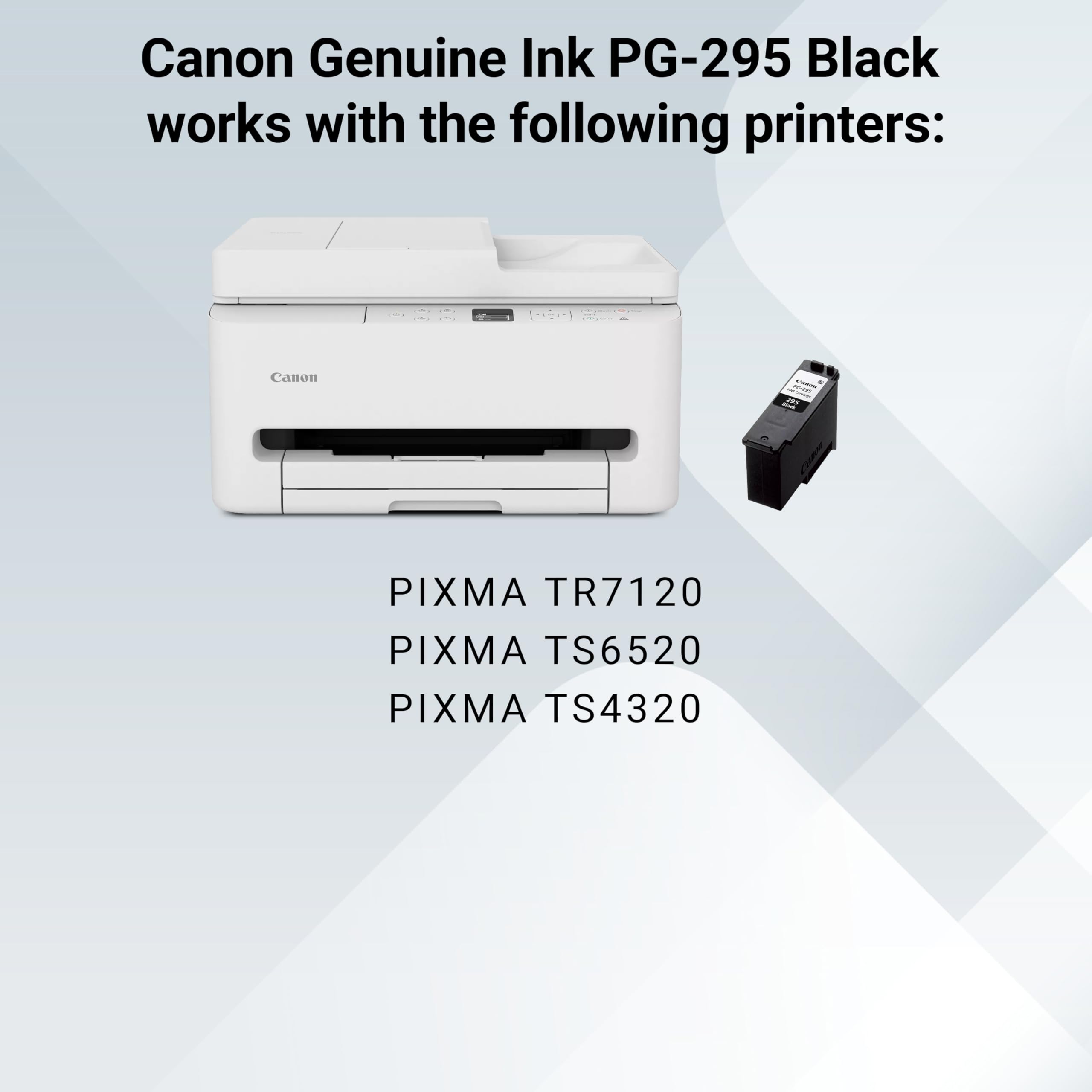 Canon PG-295 etiqueta legible con información de modelo y garantía
