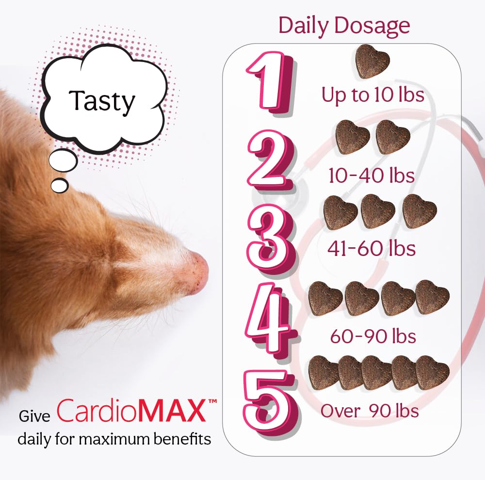 CARDIOMAX envase abierto con masticables ordenados para visualización del contenido