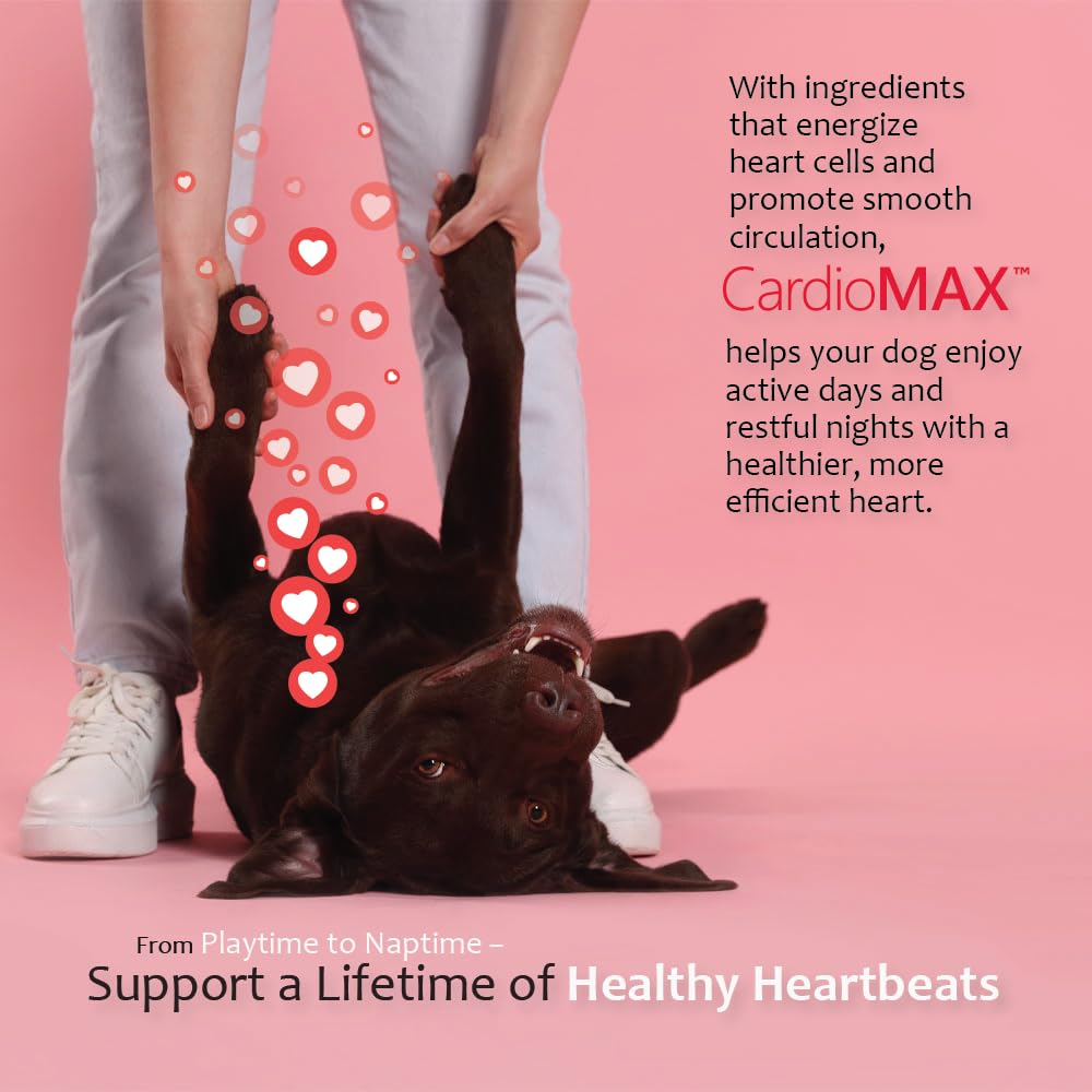 CARDIOMAX etiqueta con ingredientes clave para transparencia y confianza
