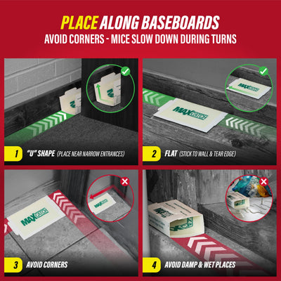 Catchmaster board beside a quarter scale showing compact size and easy placement