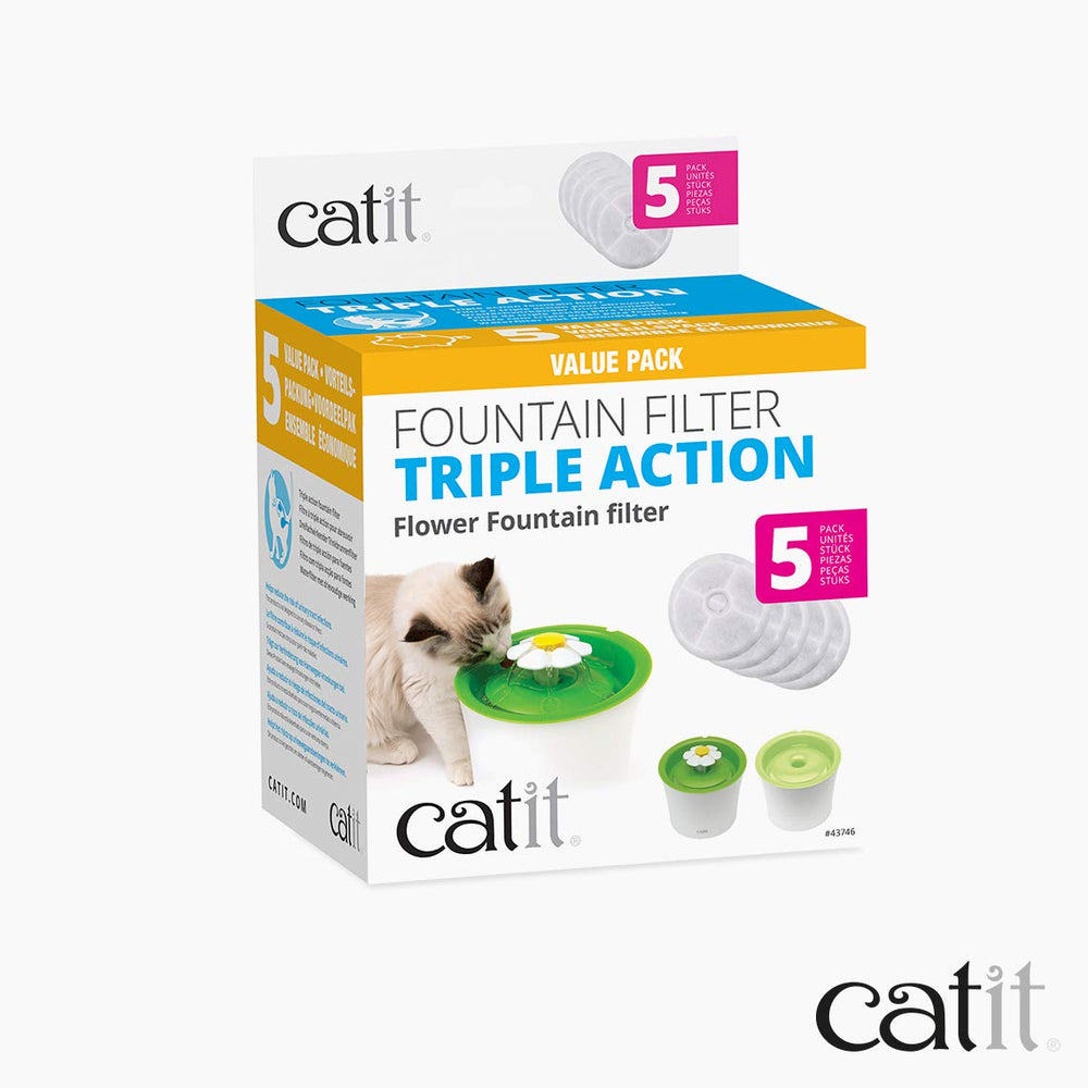 Catit lifestyle image with fountain in kitchen encouraging more cat hydration