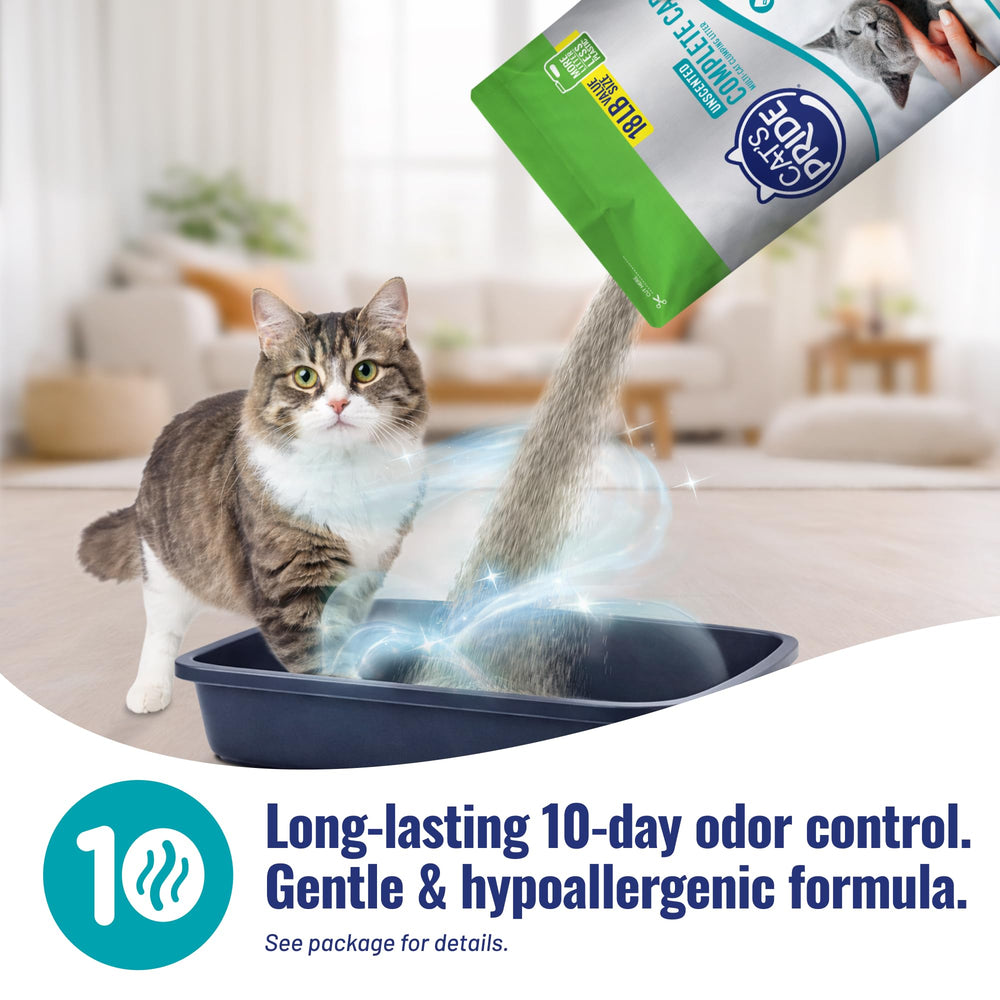Cat's Pride primer plano de grumo firme y compacto listo para retirar