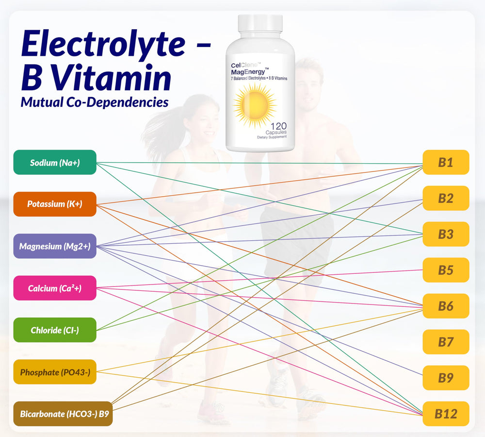 CELCLENE MagEnergy etiqueta con ingredientes activos para transparencia nutricional