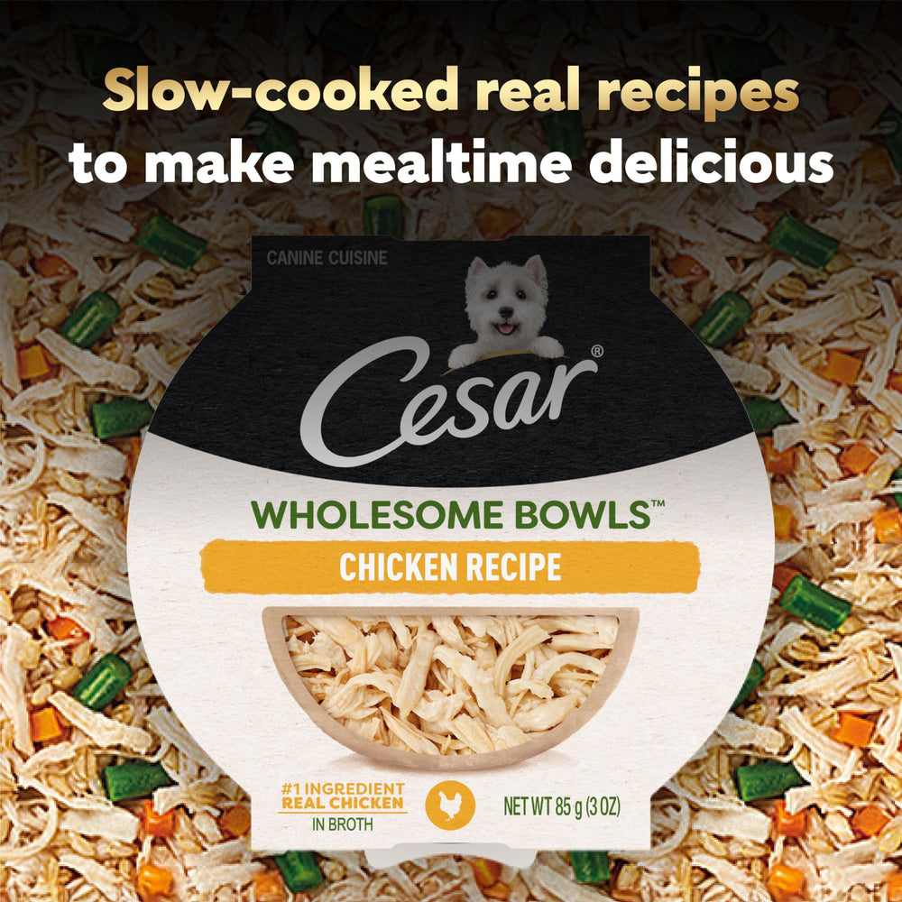 Cesar ingredientes principales pollo y verduras frescas para nutrición