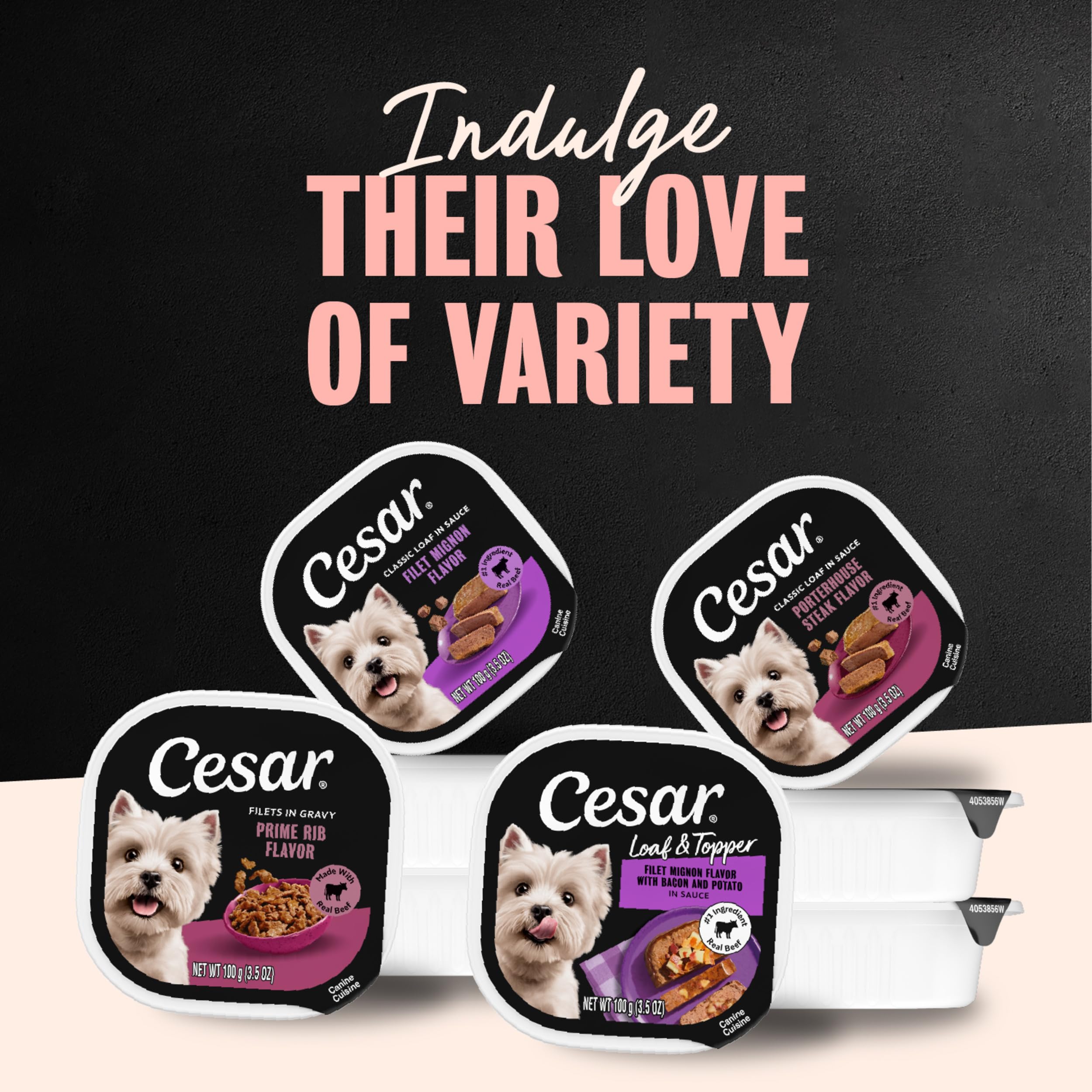 Cesar tray mixed with dry kibble showing boosted aroma and palatability benefit