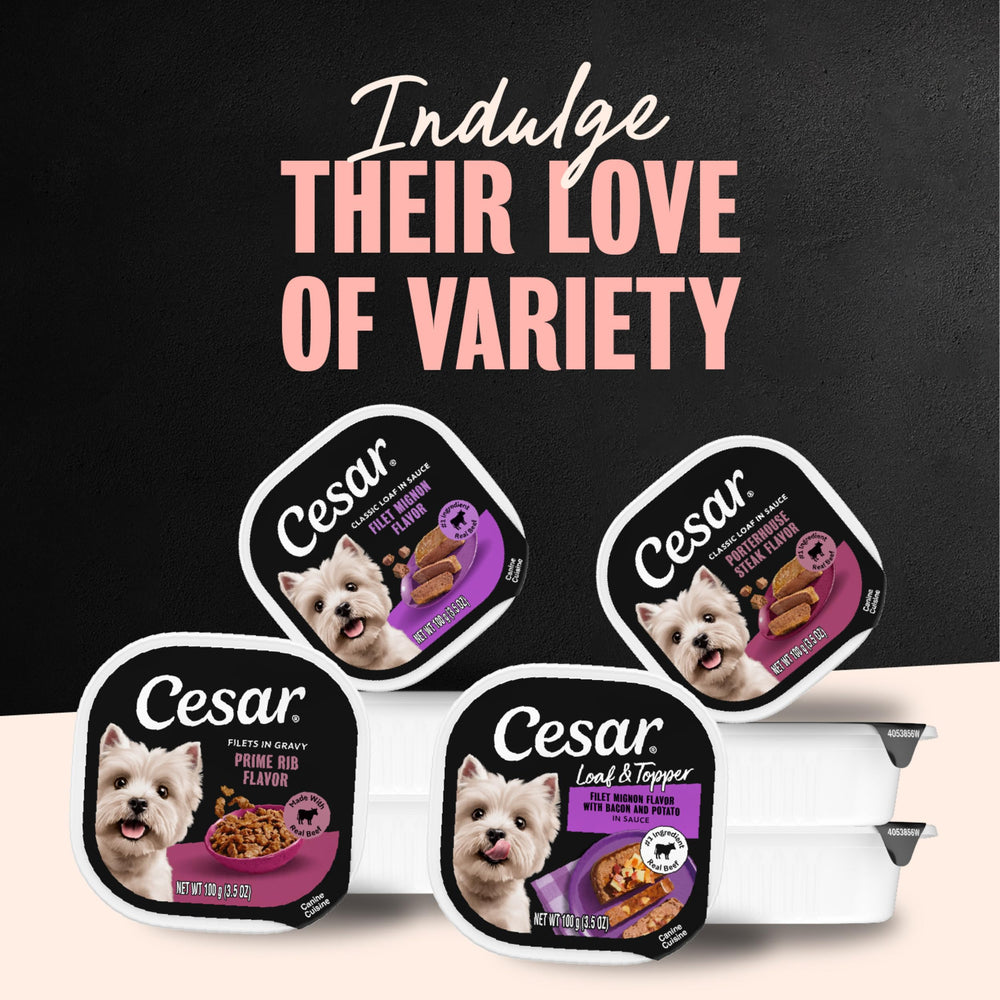 Cesar tray mixed with dry kibble showing boosted aroma and palatability benefit