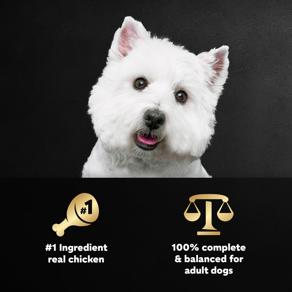 Cesar primer plano textura del alimento mostrando pollo jugoso apetitoso