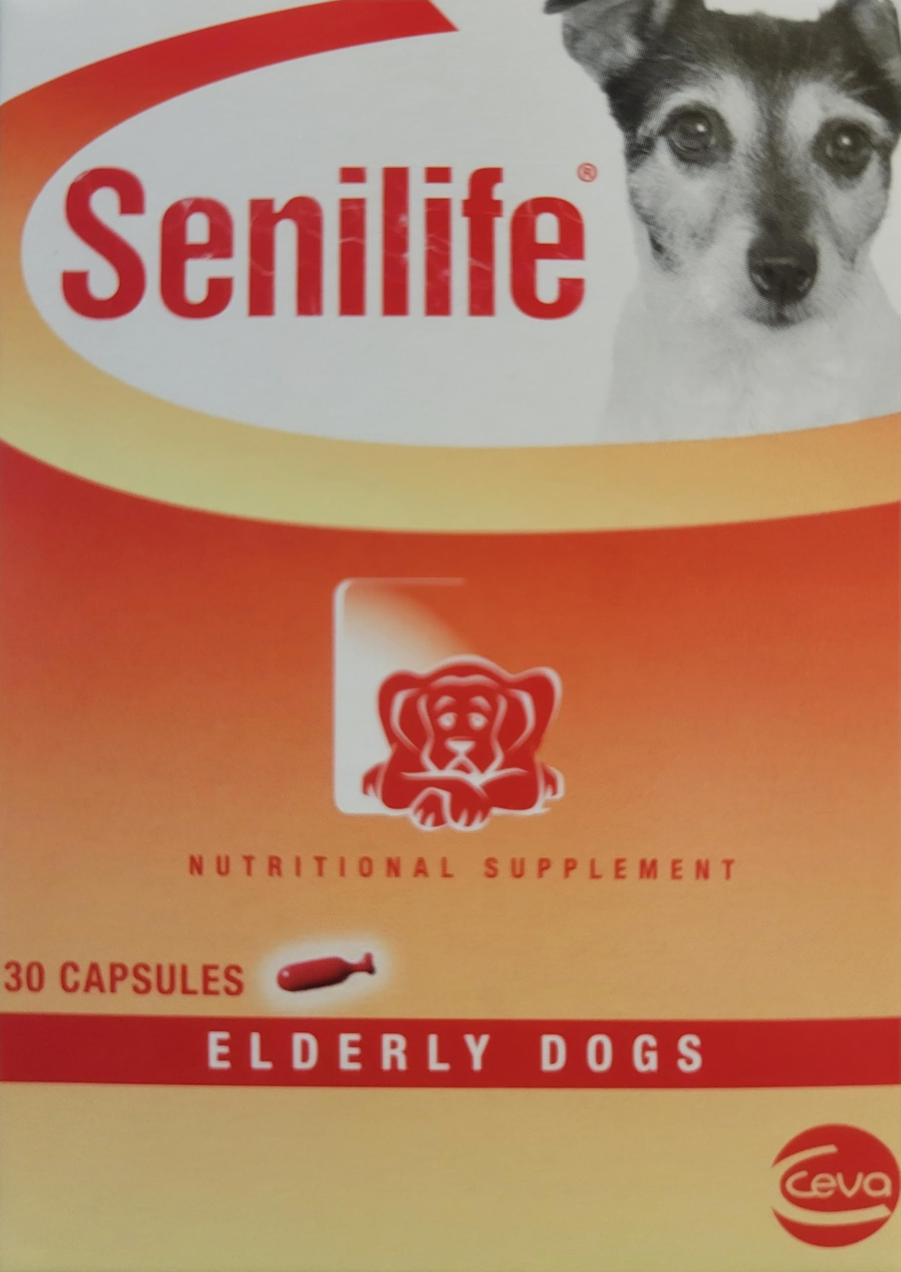 Ceva Senilife administrador mezclando cápsula en comida del perro