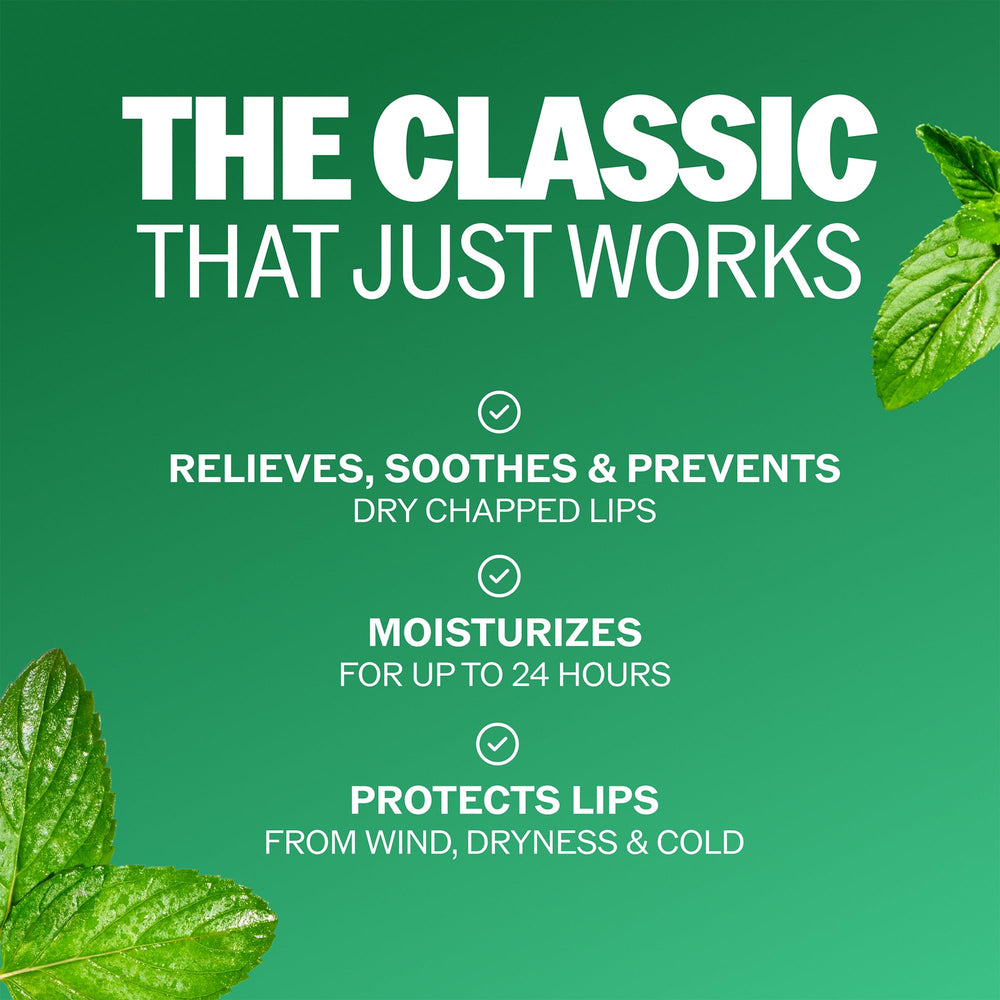 ChapStick spearmint grouped 12-pack showing quantity and value