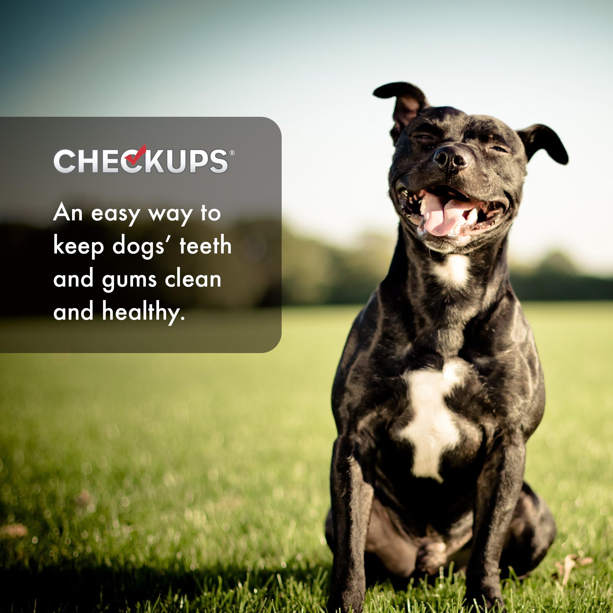 Checkups bolsa resellable abierta con premios, conserva frescura