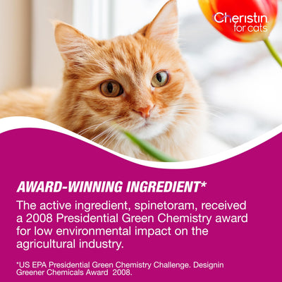 Cheristin envases de 1 y 3 dosis para elegir según necesidades del hogar