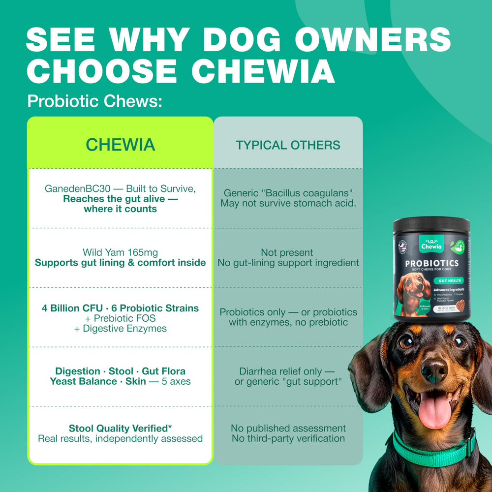 CHEWIA comparación de tamaño de la masticable junto a una moneda