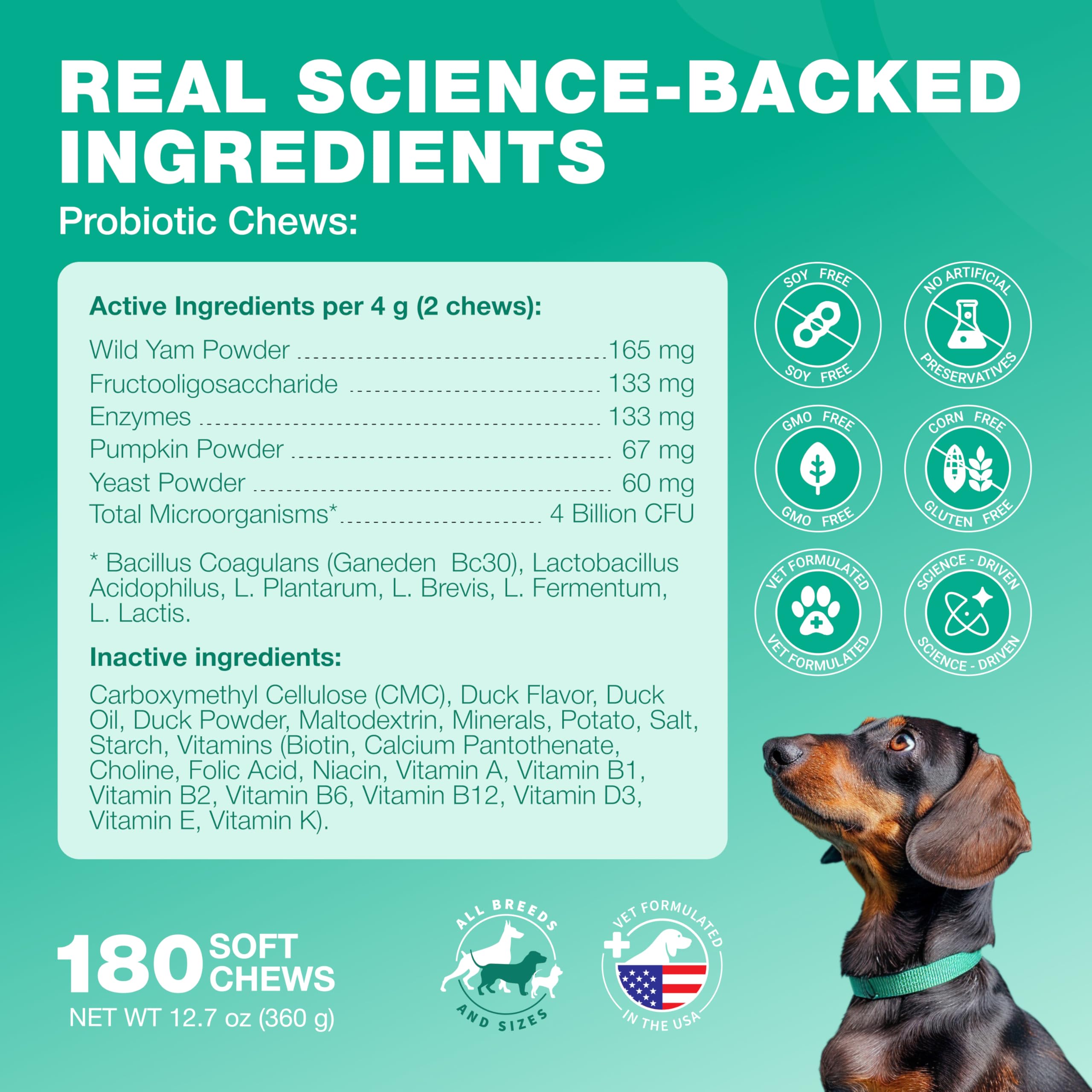 CHEWIA ingredientes principales wild yam y polvo de calabaza visibles