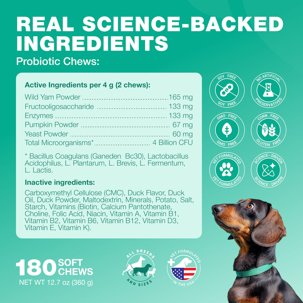 CHEWIA ingredientes principales wild yam y polvo de calabaza visibles