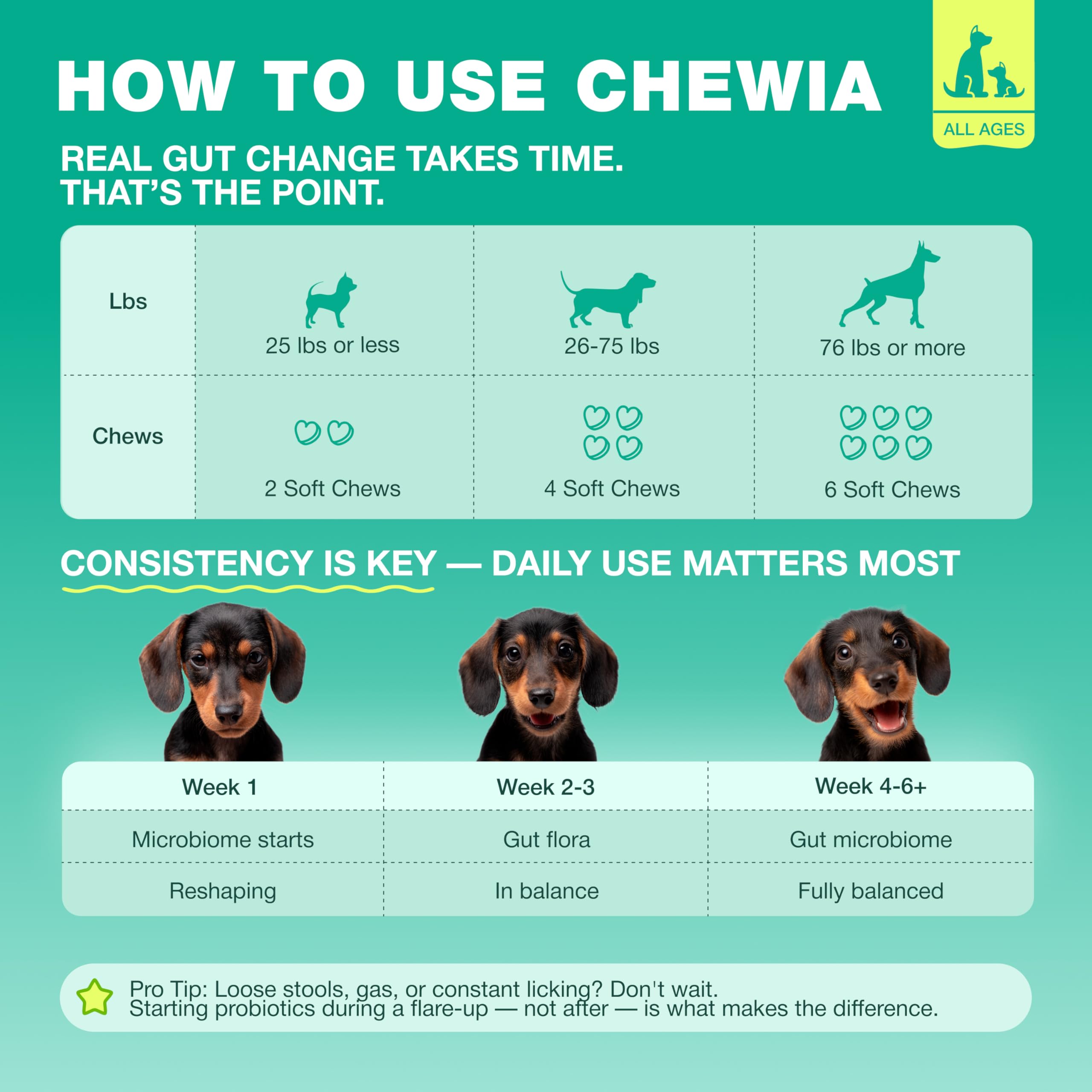 CHEWIA producto sobre plato indicando porción recomendada