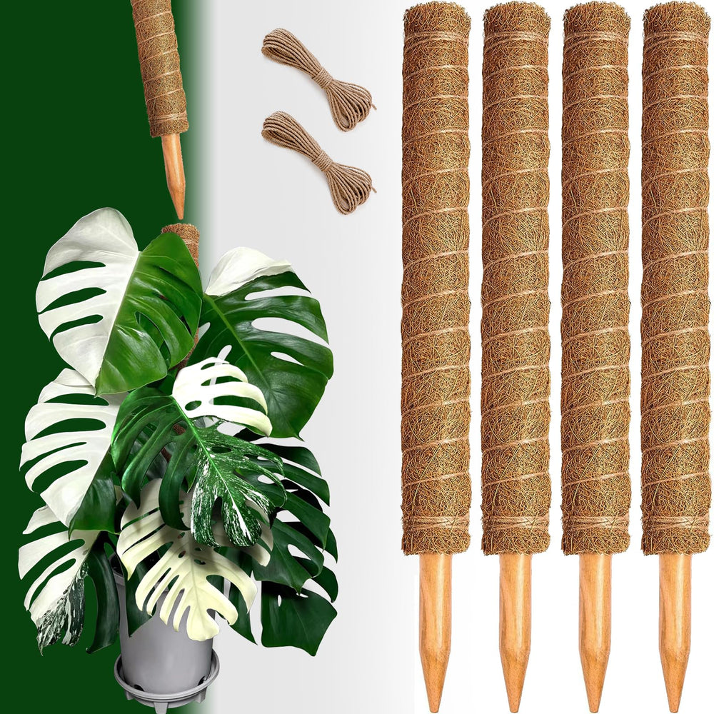 CHIAFFI ambiente interior con postes y plantas trepadoras estéticas