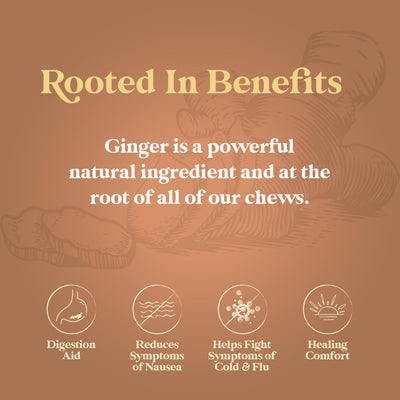 Chimes raíz de jengibre de Java como ingrediente principal y auténtico