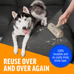 ChomChom Roller removing dog hair from a sofa keeping upholstery clean