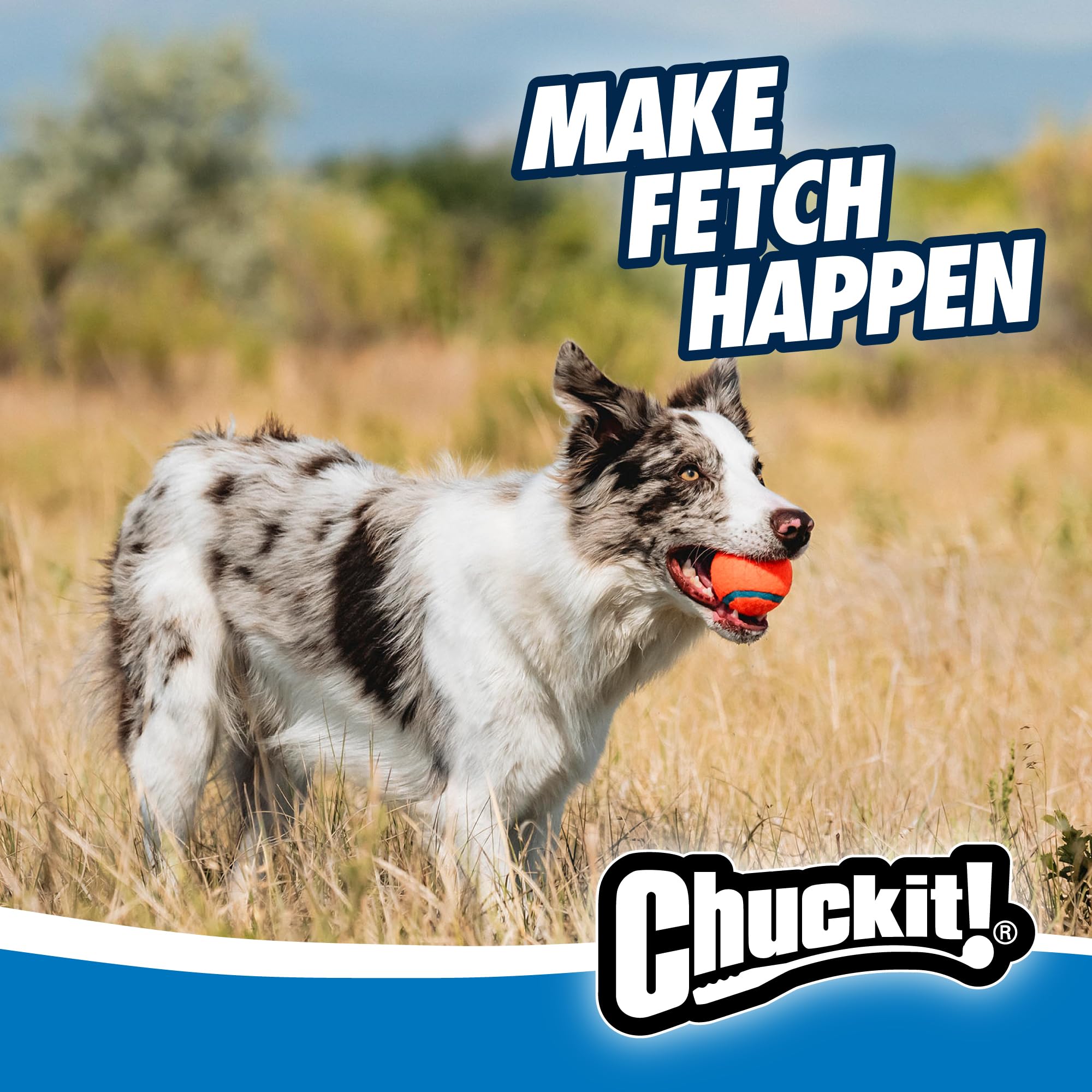 Three Chuckit! medium balls overhead display for quick swaps and continuous play