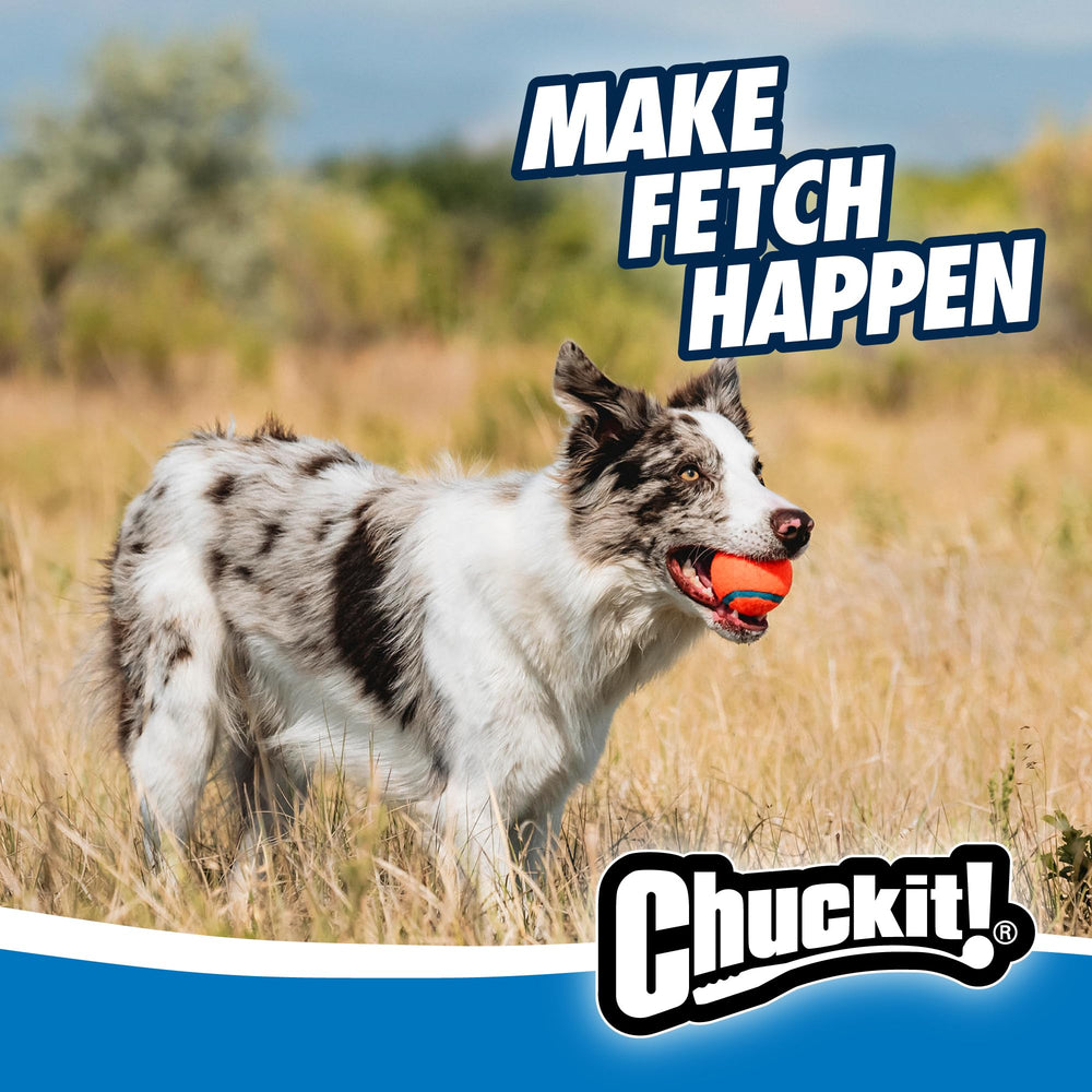 Three Chuckit! medium balls overhead display for quick swaps and continuous play