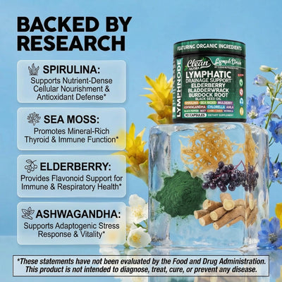 Clean Nutraceuticals capsule close-up showing fine powdered blend for convenient daily use