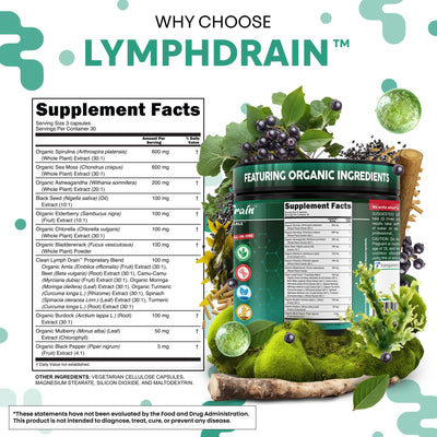 Clean Nutraceuticals elderberry close-up illustrating antioxidant-rich berries for immune complement