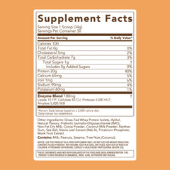 Close-up texture of Clean Simple Eats powder illustrating smooth mixability
