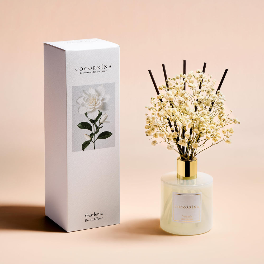 COCORRÍNA detalle flor baby’s breath preservada aporta toque decorativo