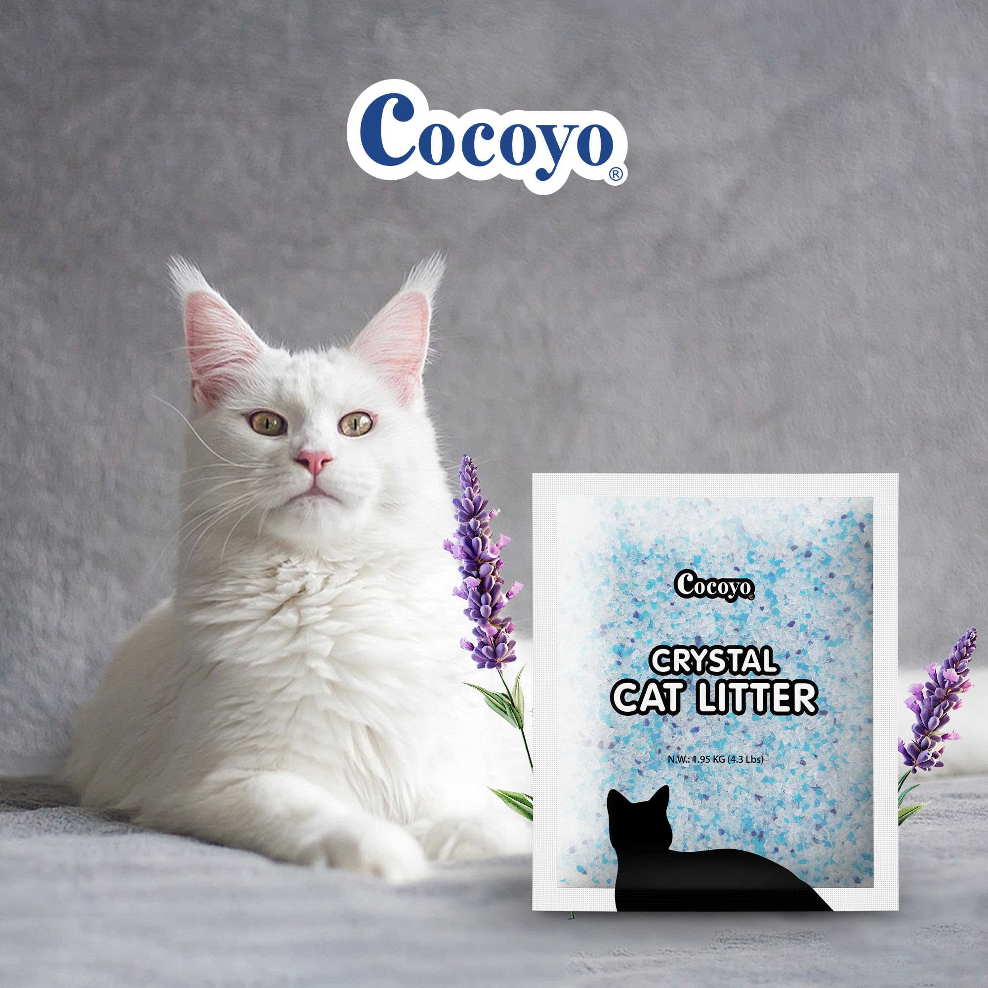 COCOYO being scooped in a litter box for easy maintenance and odor control