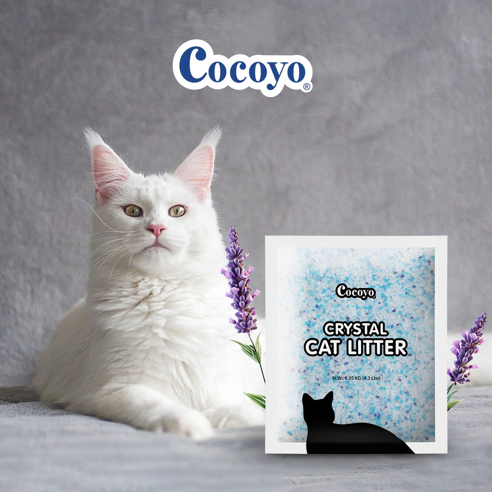 COCOYO being scooped in a litter box for easy maintenance and odor control