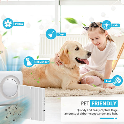 Colorfullife filtro en salón con mascota mejorando ambiente