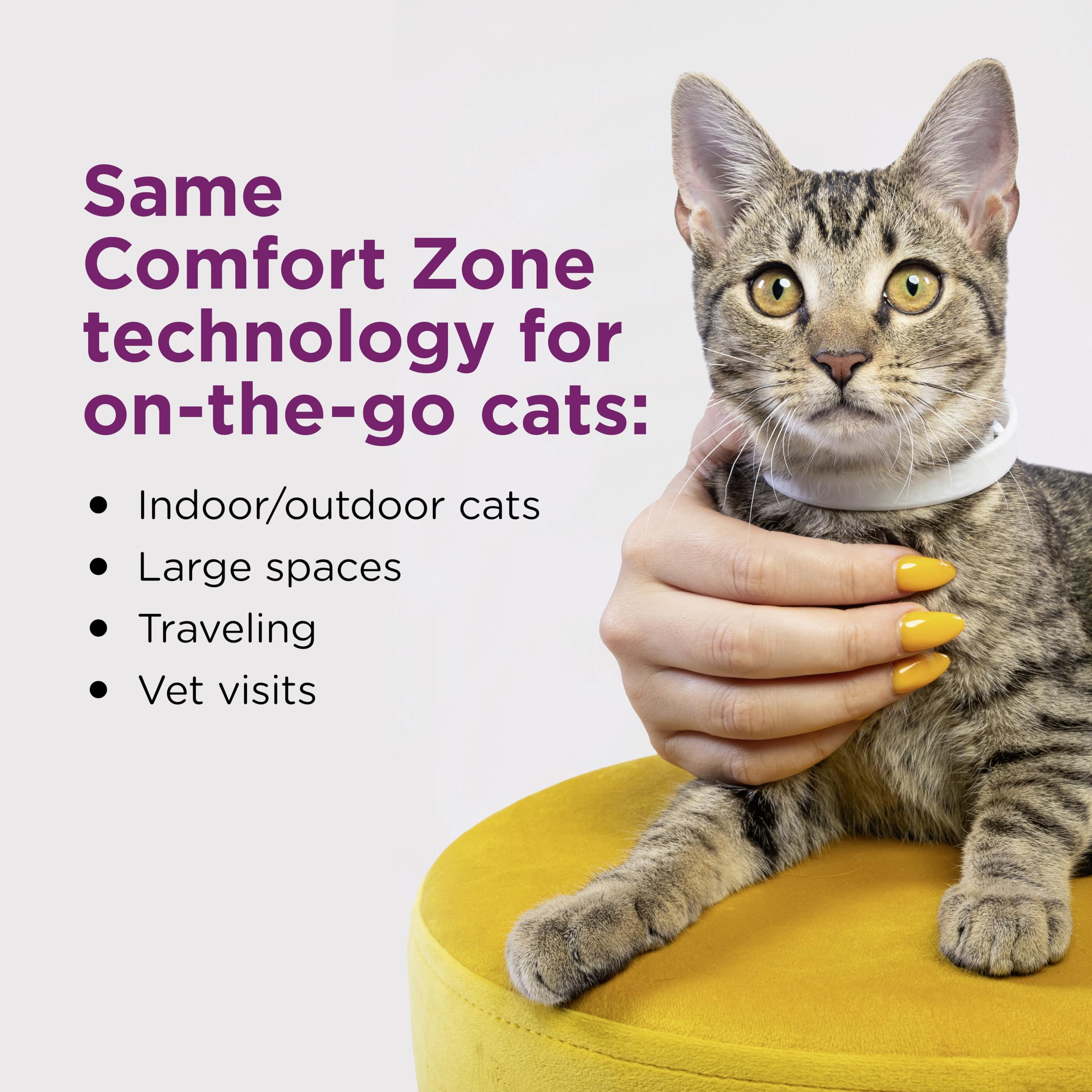 Comfort Zone gato usando collar cómodo que reduce estrés en viajes