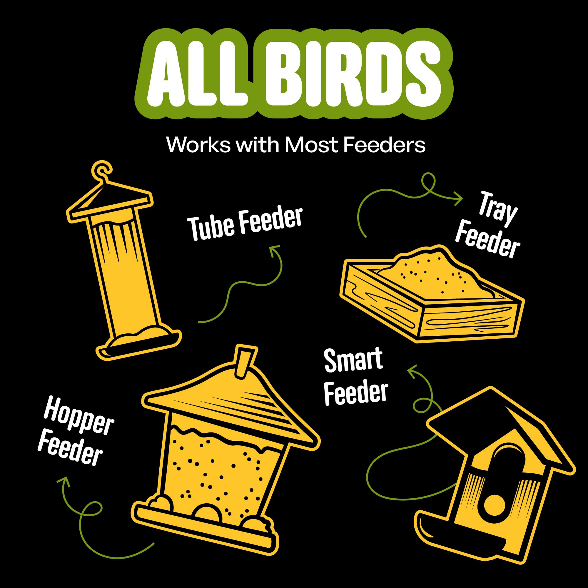 Cool Birds semillas y cacahuetes en primer plano para energía