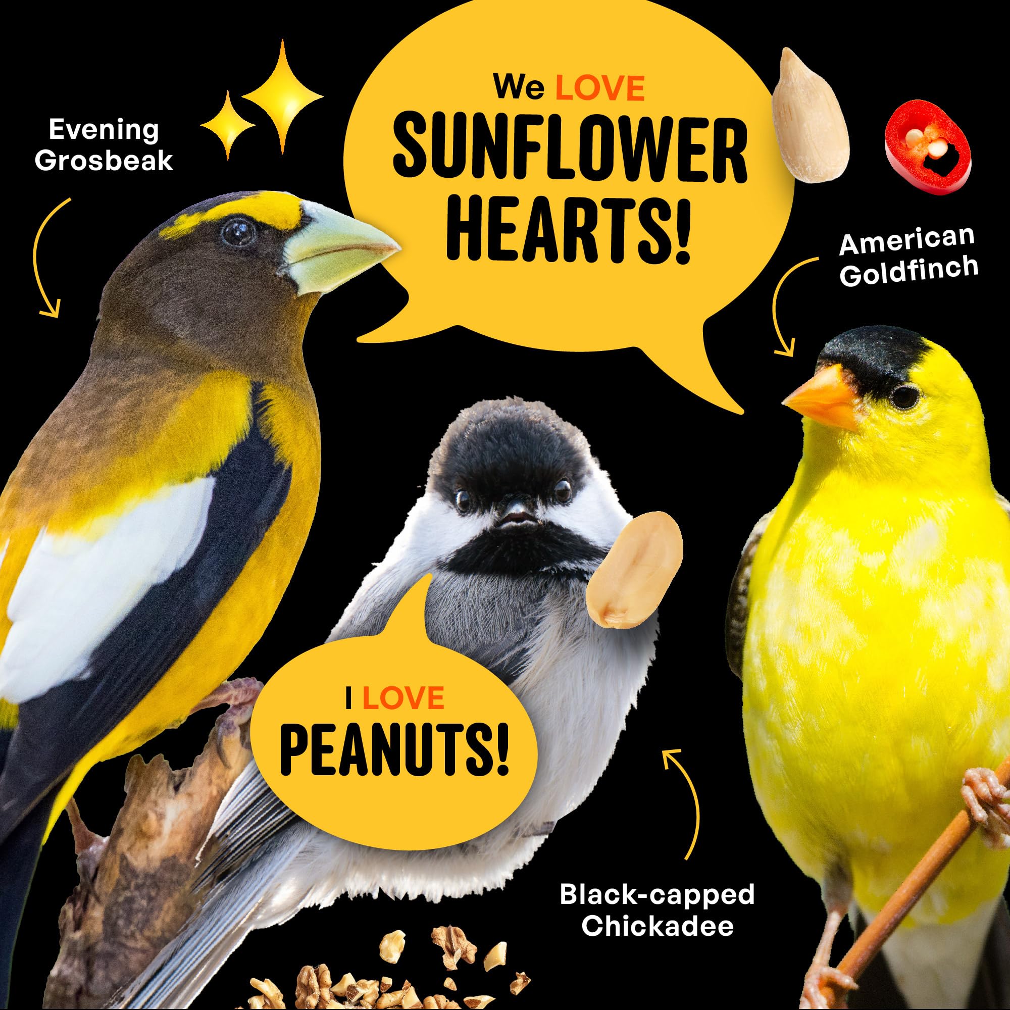 COOL BIRDS primer plano de girasol cacahuate y nueces, ingredientes de alta energía