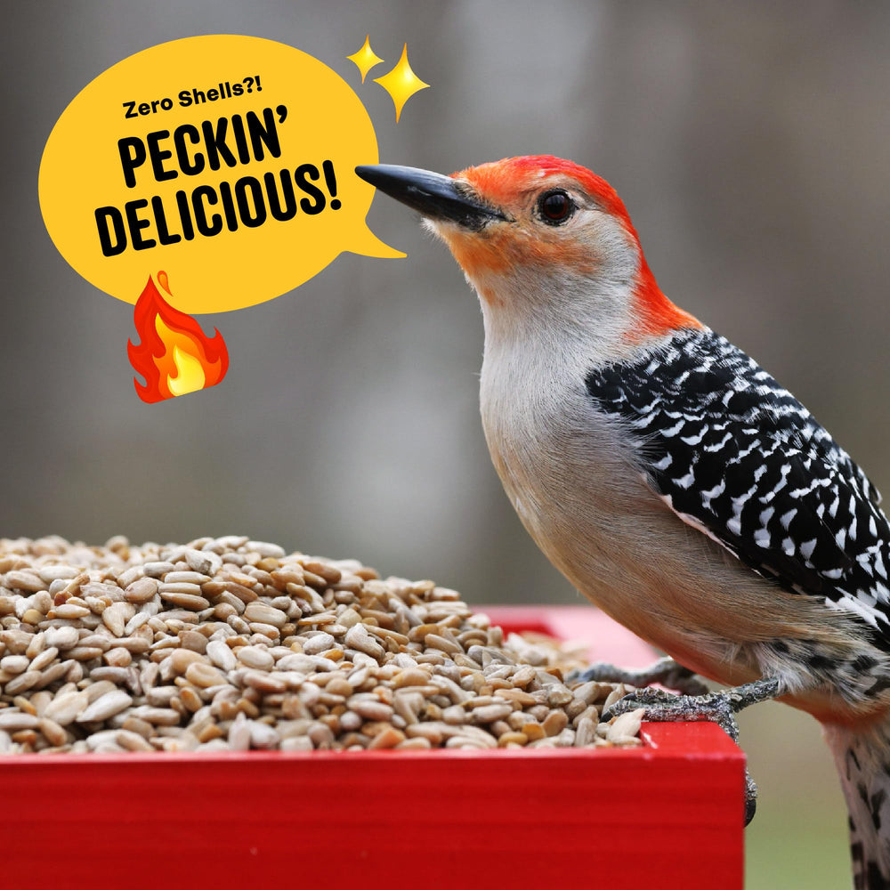 Cool Birds detalle de etiqueta con ingredientes y aceite de chile natural