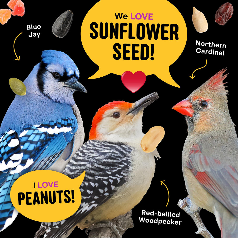 Cool Birds manos sosteniendo la mezcla destacando facilidad de uso