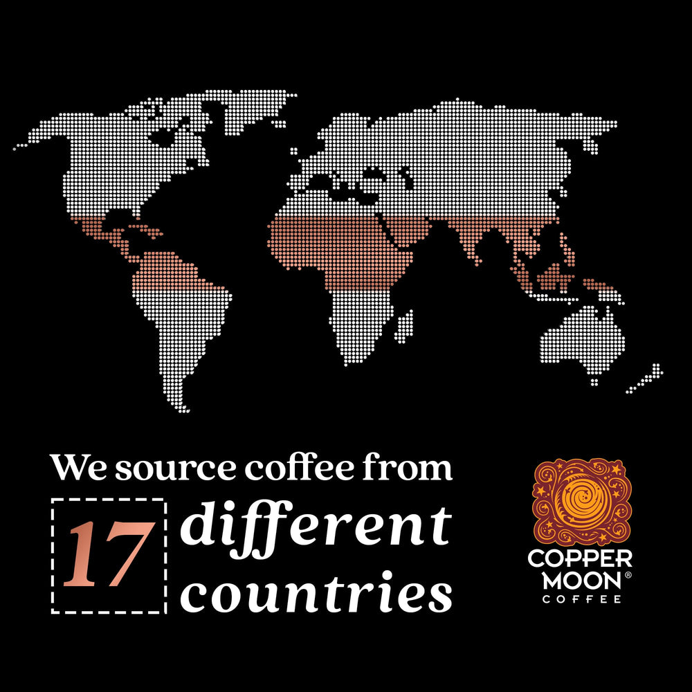 Copper Moon ground coffee texture demonstrating ideal grind for French press