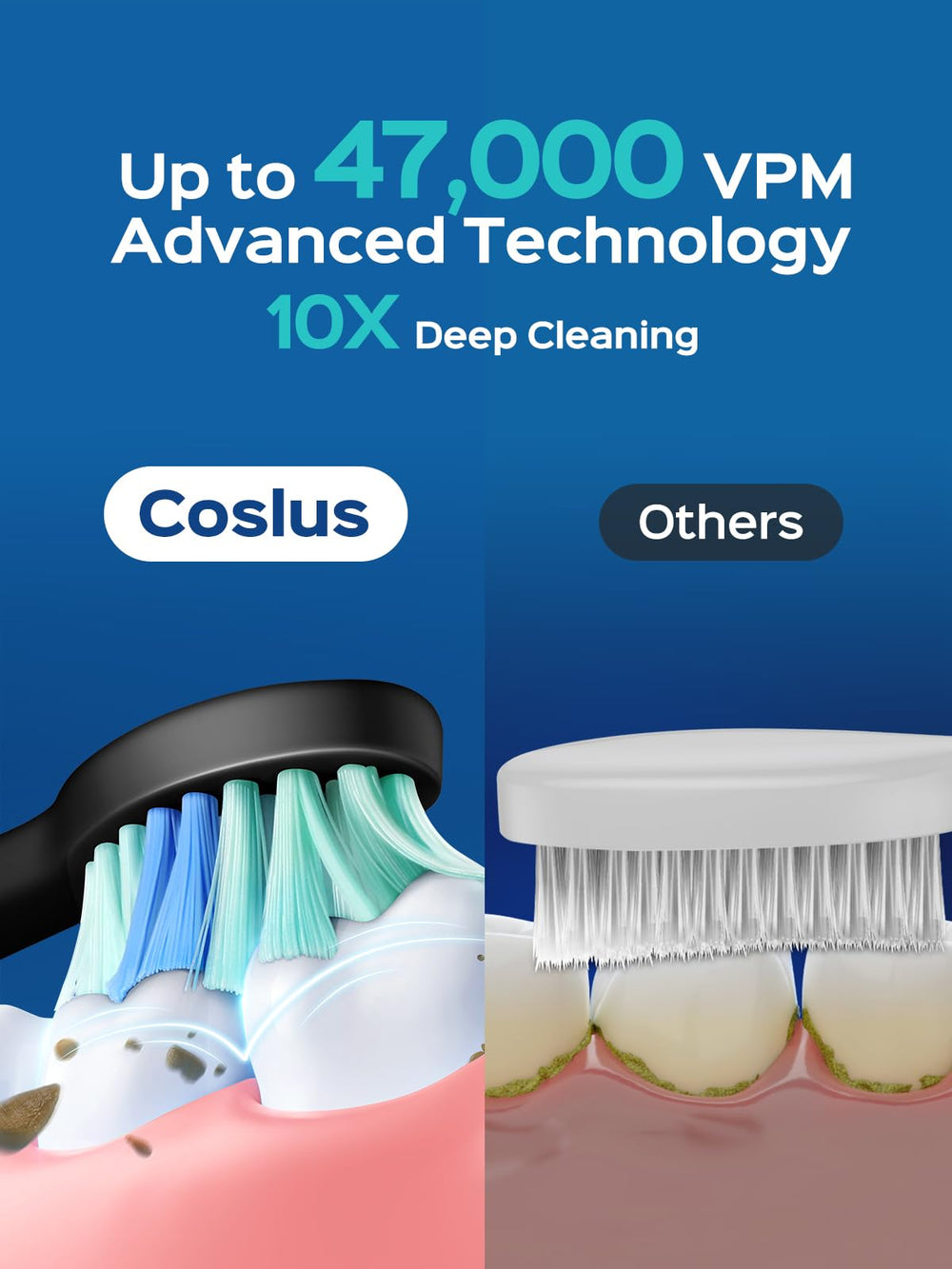 COSLUS C40 primer plano de cerdas en 'W' con indicador azul, suavidad y eficacia