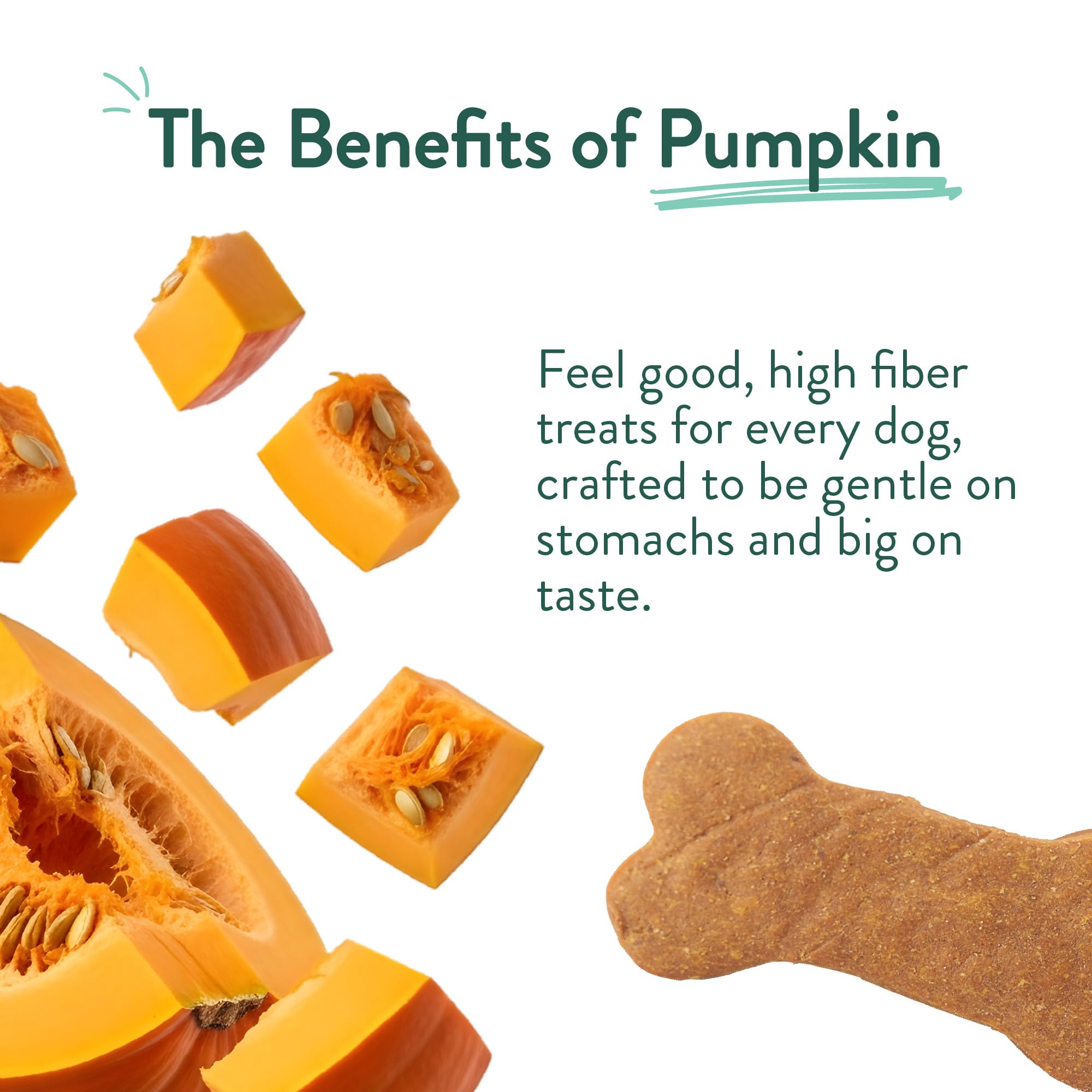 CRAFTED BY HUMANS LOVED BY DOGS open BPA-free bag with biscuits showcasing resealable freshness