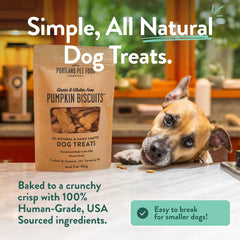 CRAFTED BY HUMANS LOVED BY DOGS close-up biscuit texture highlighting crunchy freshness