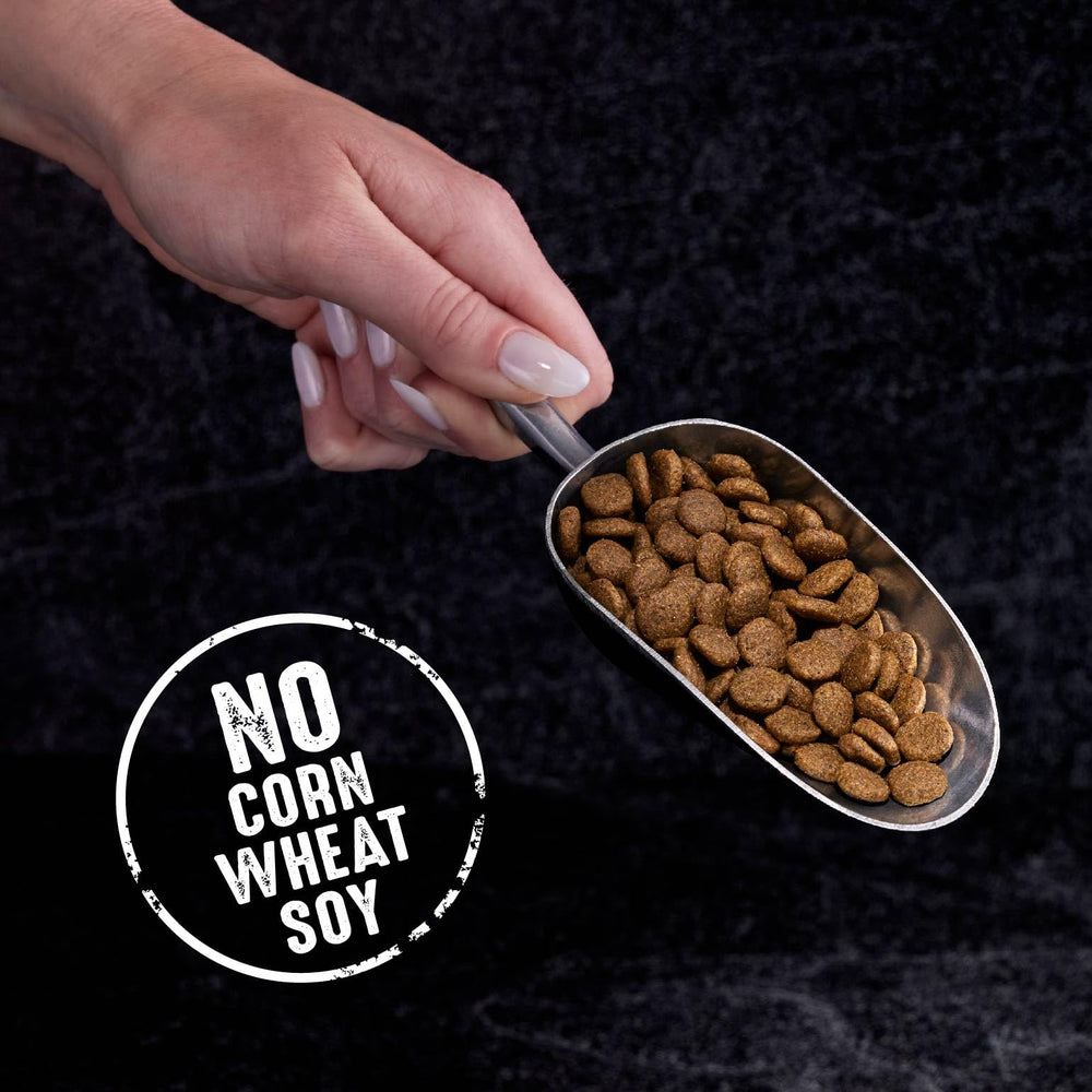 CRAVE gato comiendo en cocina, ilustra aceptación y energía tras consumir el alimento