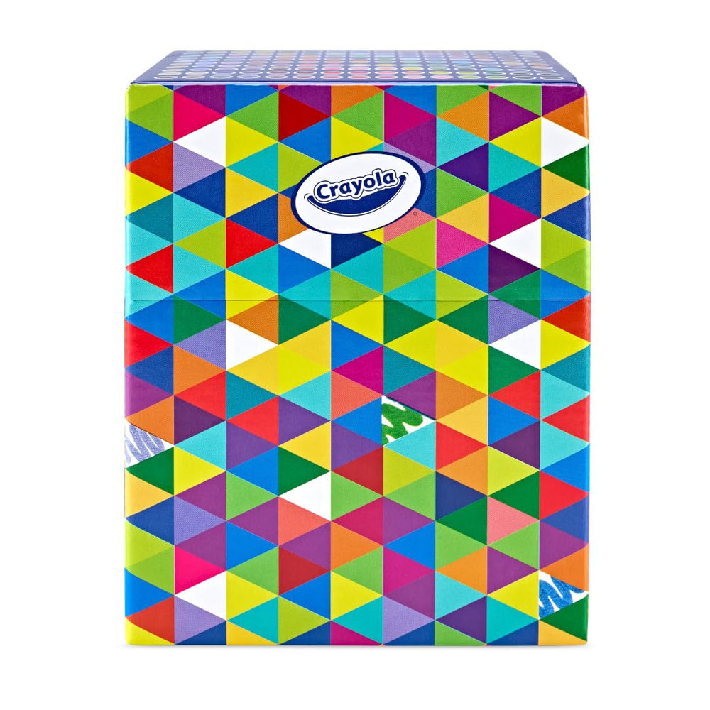 Crayola markers organized in container highlighting labels and storage